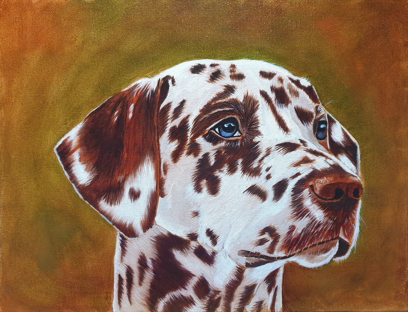 Cleo, Dalmatian